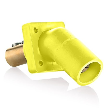 LEVITON Plugs and Receptacles