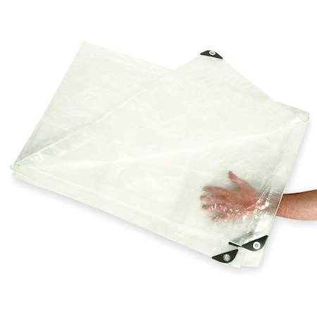 N/A Standard Duty Tarp, 23 ft 10 in x 39 ft 4 in, 5.1 Mil, Transparent, Polyethylene