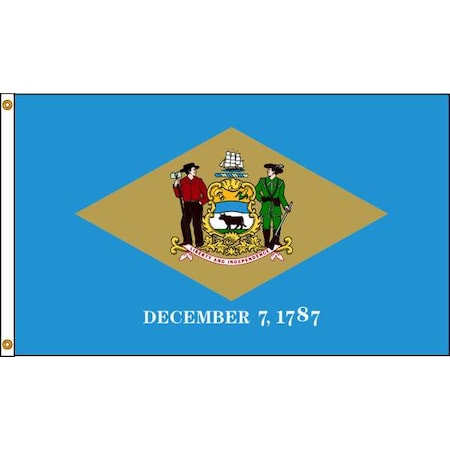 ANNIN FLAGMAKERS Delaware Flag, 5x8 Ft, Nylon