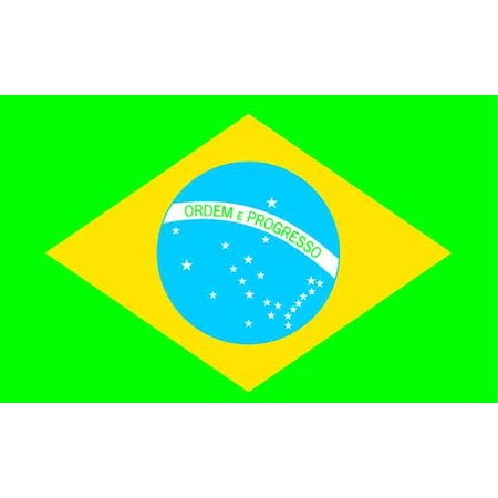 ANNIN FLAGMAKERS Brazil Flag, 4x6 Ft, Nylon